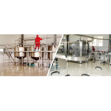 Tomato Paste Manufacturer